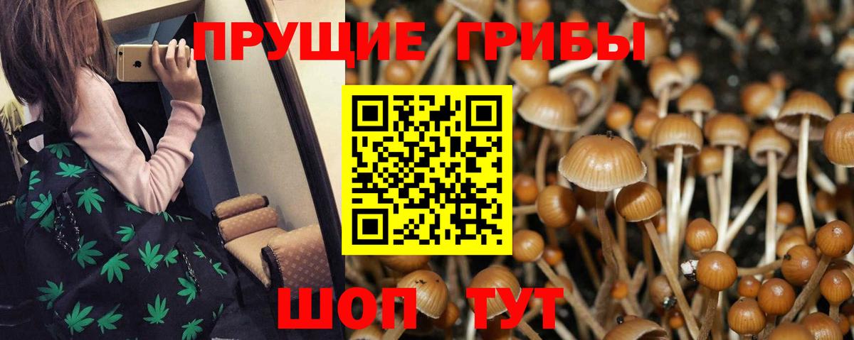 Галлюциногенные грибы MAGIC MUSHROOMS  Вход с VPN  даркнет сайт  Кунгур 
