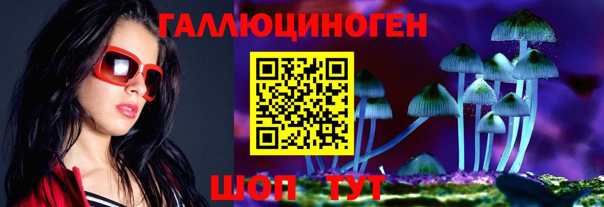 что такое   Псилоцибиновые грибы ЛСД  Кунгур  Псилоцибиновые грибы мухоморы 